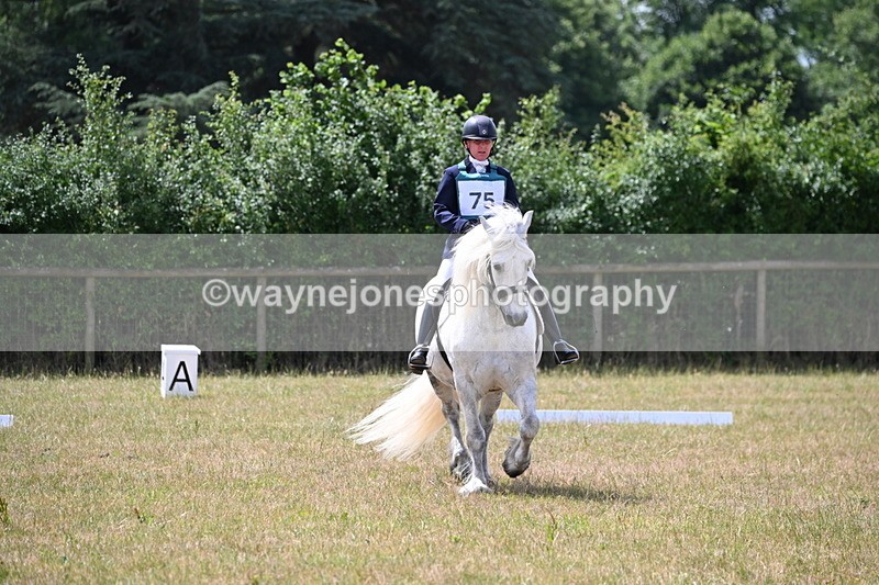 WJ6_3463 - Time 11:34 to 11:43