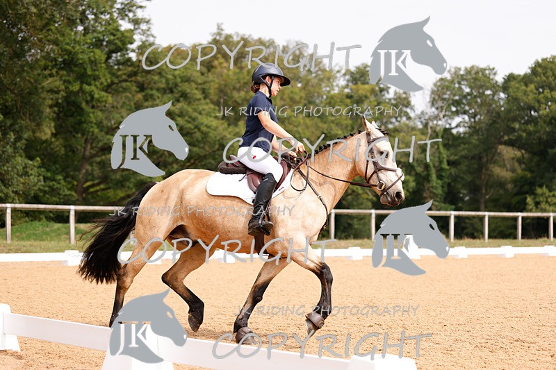 _R6A2824 - Dressage Morning