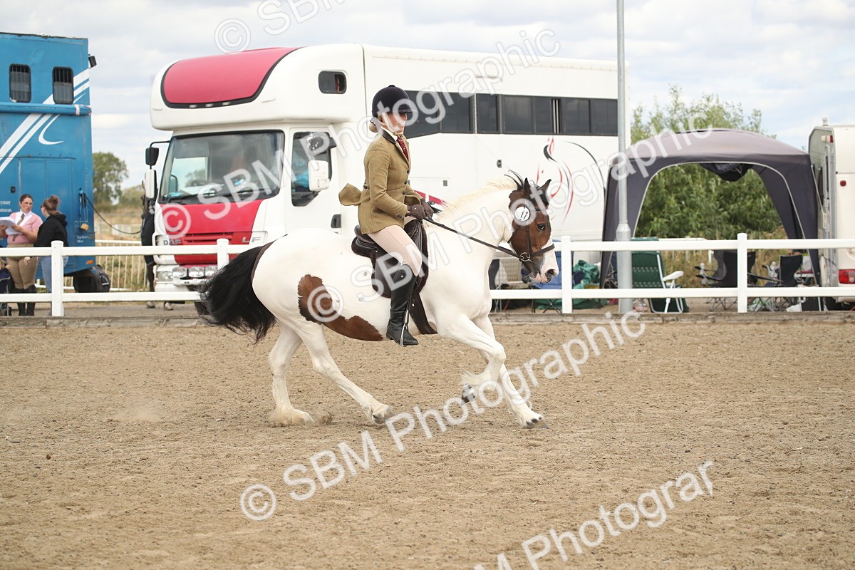 SBM_15225 - Class 506a - Working Veteran - 50cm (15-19)