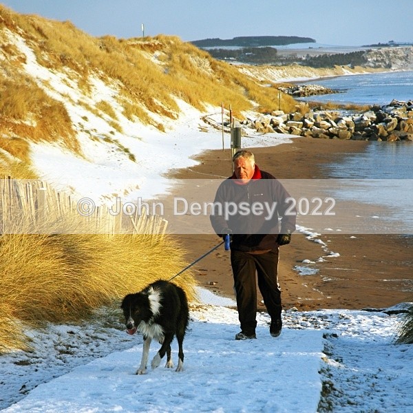Milo On Hold - Walking the Dog