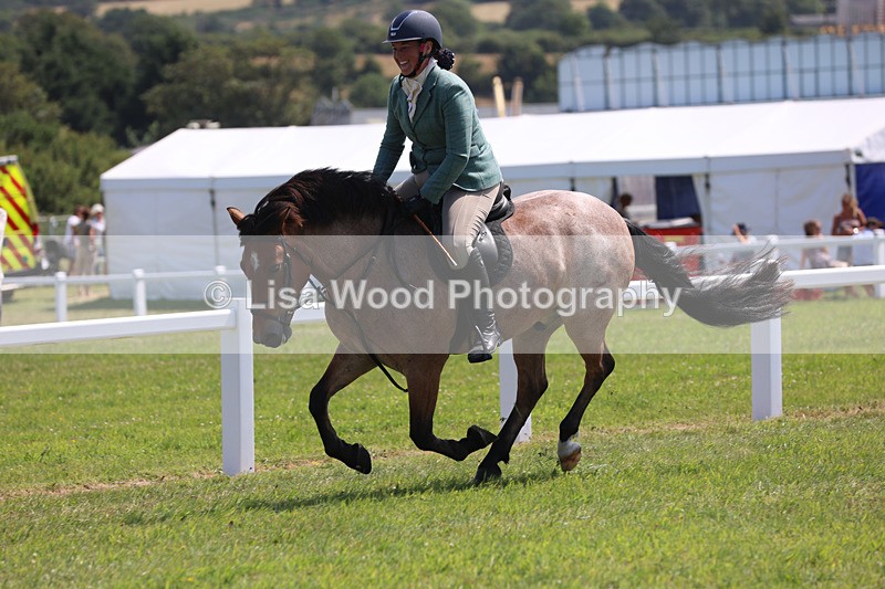 JPP_3287 - Class 22: Working Hunter 70cm