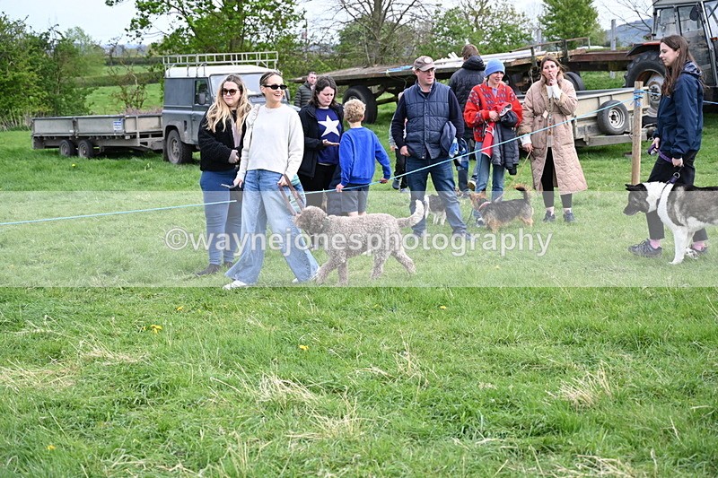 WJ6_8479 - Class 6 Best Rescue