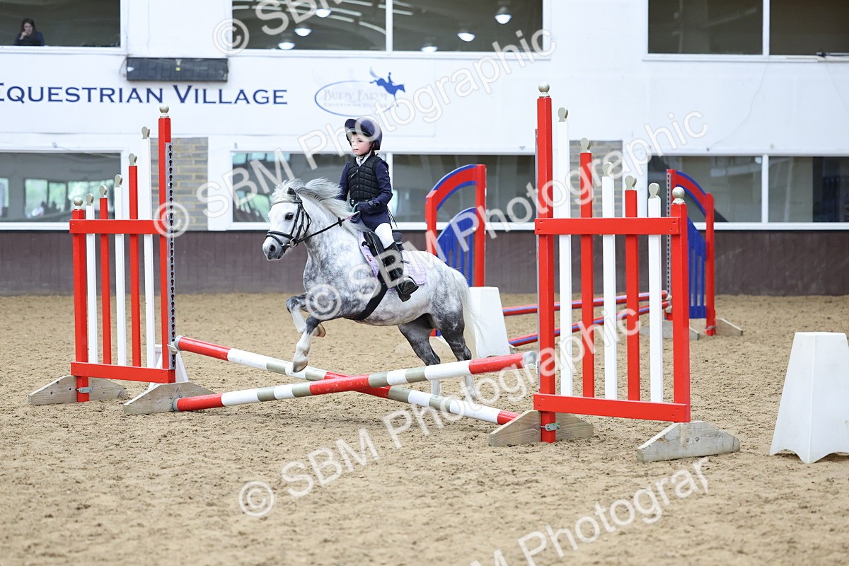 SBM_007378 - Class 2 - 50cm showjumping
