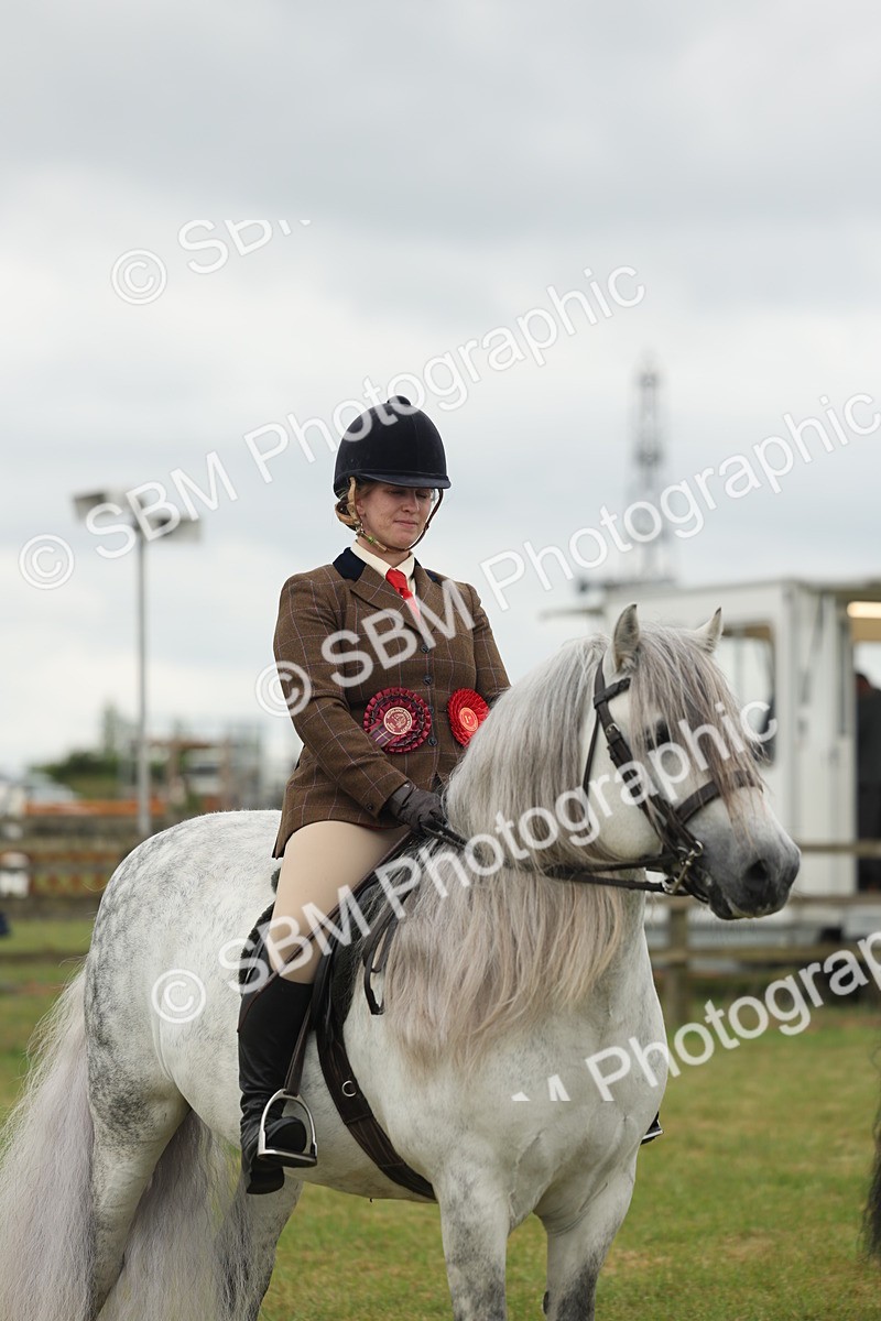 SBM_09039 - Class 78-80 - Ridden M&M Non Welsh Ponies