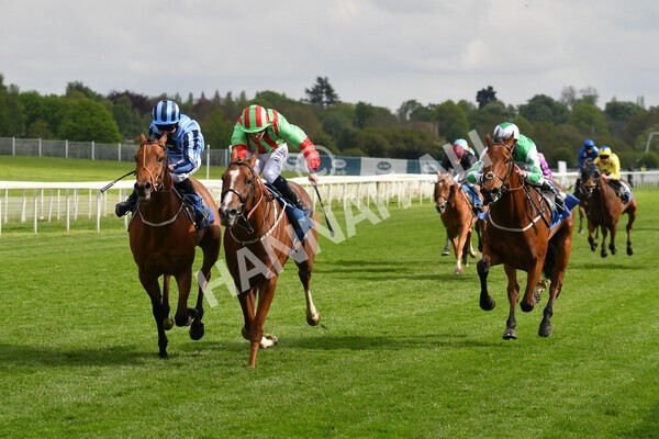 yr14052021r7-26 - Race 7 4.50pm Irish Thoroughbred Marketing Stakes