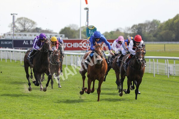 yr13052021r4-41 - Race 4 3.10pm Al Basti Equiworld Dubai Dante Stakes