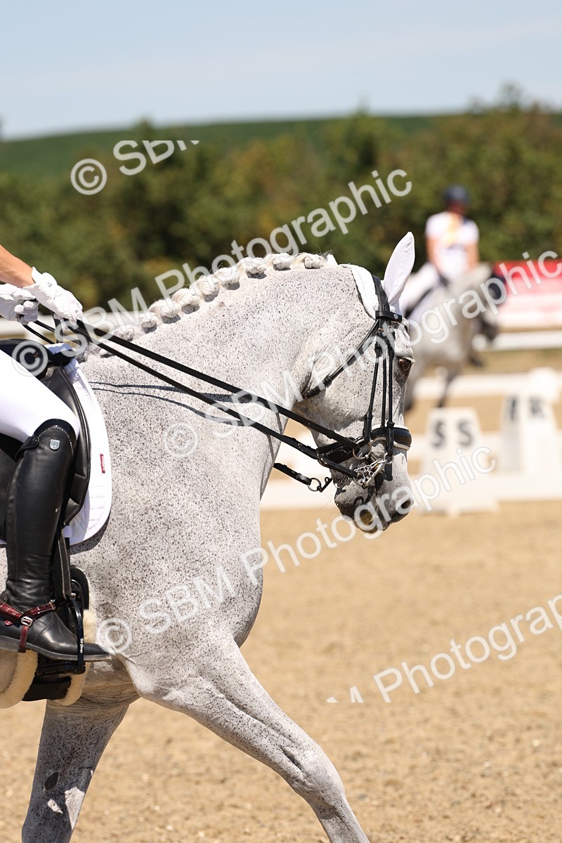 SBM_002248 - Elementary 4 Warm Up