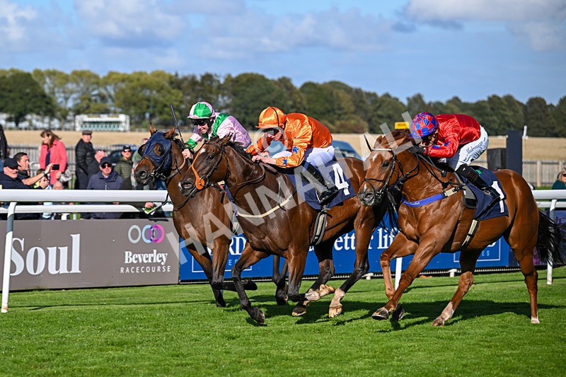 230925-Race 4-Elegant Erin-0681 - Race 4