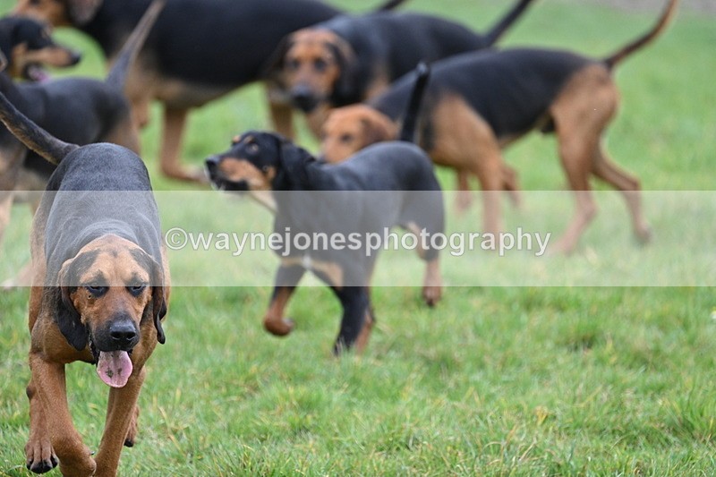 WJ7_7618 - Meet