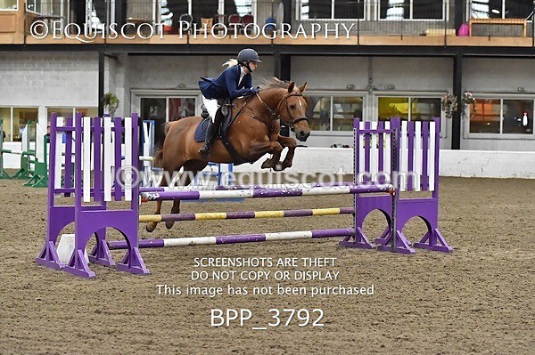 BPP_3792 - FRI CLASS 21 BR NOVICE/90CM