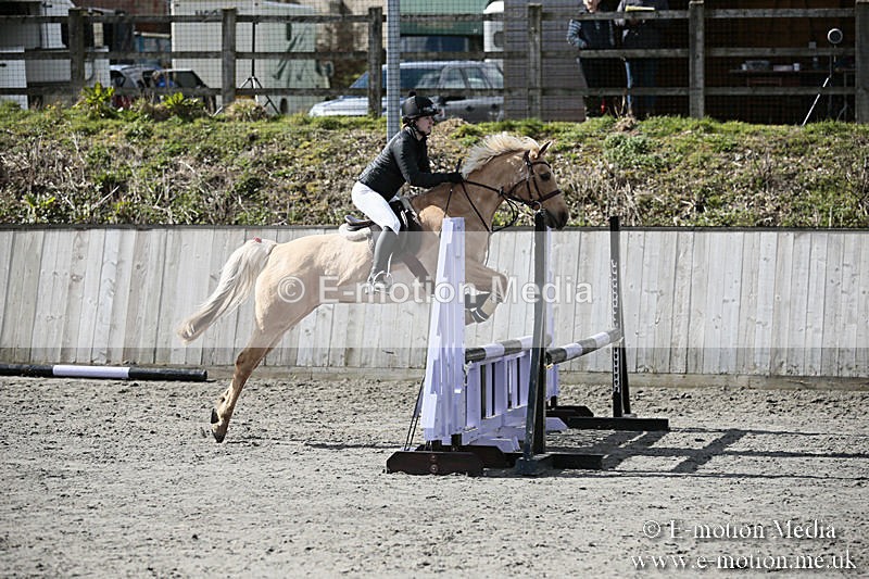 BVRC SJ 170319 446 - Bourne Valley Riding Club Showjumping 17/03/19