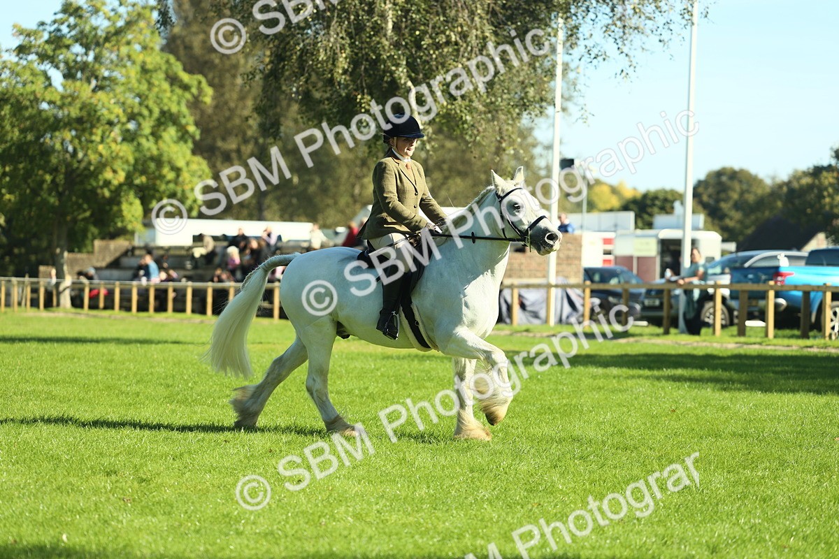 SBM_37380 - S29 - Novice & Newcomers Working Hunter Pony