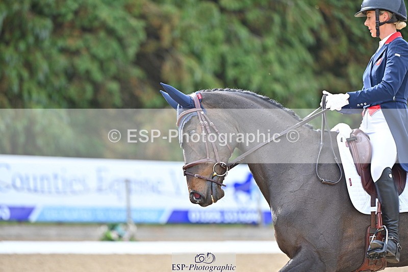 250523A-091909-05498 - D-456-Yasmin.Ingham-GYPSIE.DU.LOIR