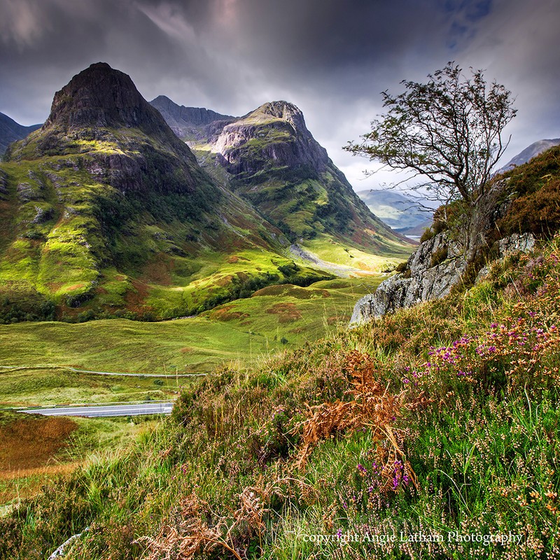 NEW! PS163 Glencoe Rowan - Scottish Landscapes