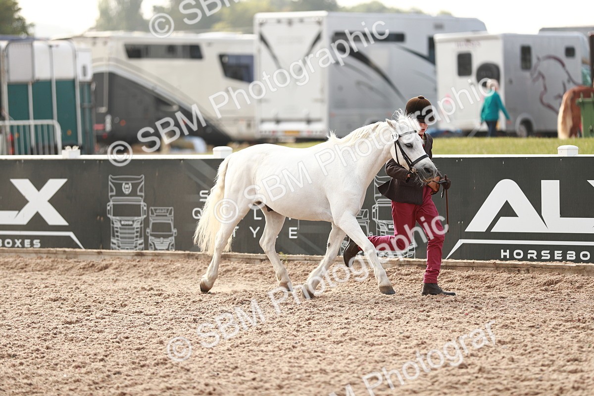 SBM_10515 - Class 204 Young Handler, 11-16 years