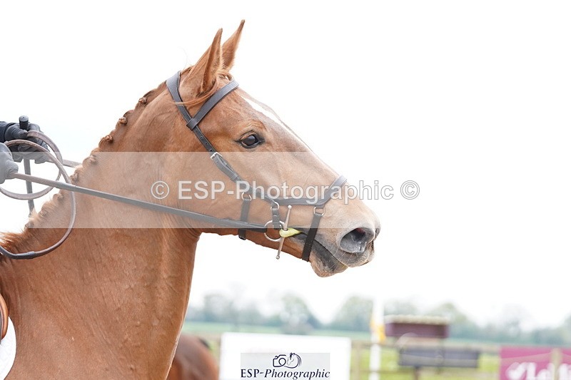 250419-130144-10958 - 759-Padraig.Mccarthy-MGH.FAIR.LADY