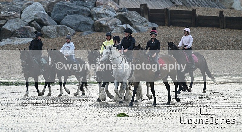 WJ7_9194 - Hayling Island Beach Shoot 22-09-24