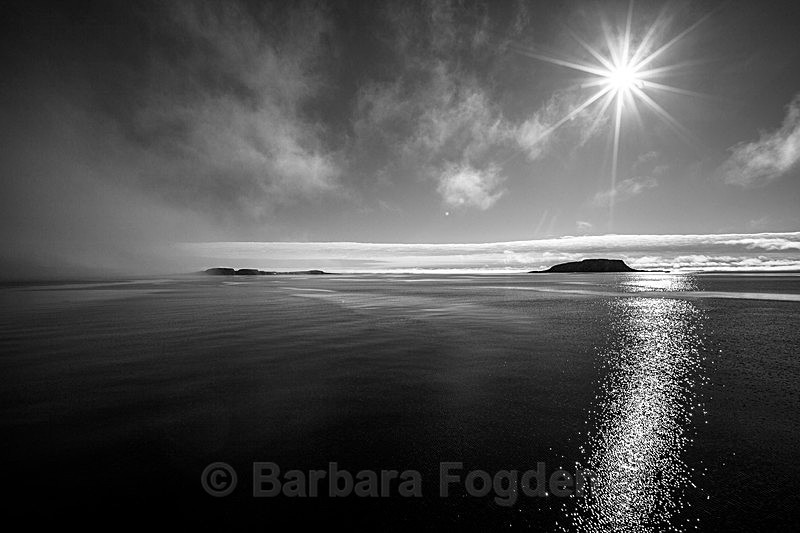 Brochøya and Foynøya  7071 - Trip with MS Expedition August 2016