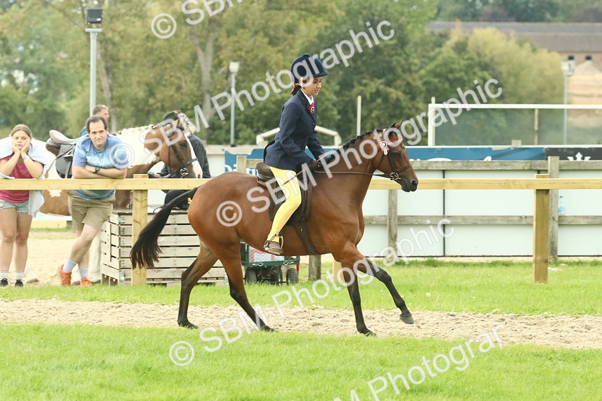 SBM_74040 - S 61 - Show Pony & Show Hunter Pony Ridden