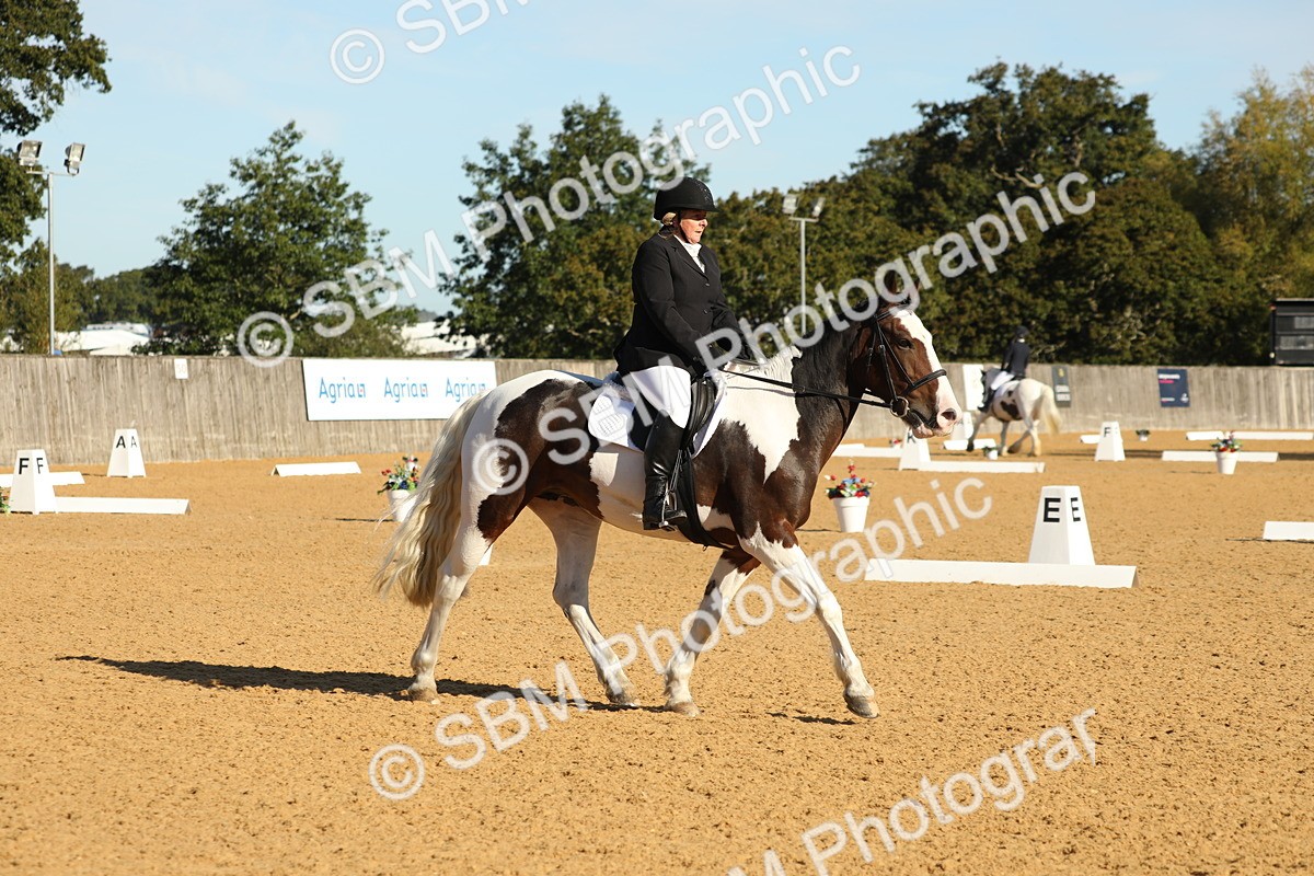 SBM_16455 - D10 - Small Tour Championship - Prelim 2