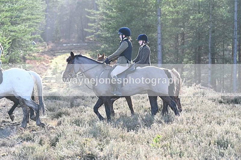 WJ7_7246 - Line 3 (no line 4 or 5)