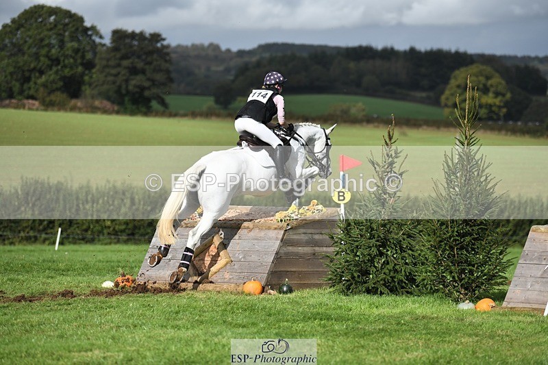 231020-140327-09650 - 114-LATINA'S.TWINKELING-Pippa.Haslam-XC