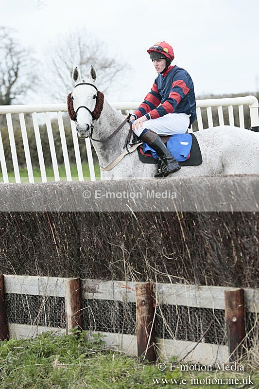 PtP 230319 60 - VWH Hunt Siddington Point-to-Point Racing 23/03/19