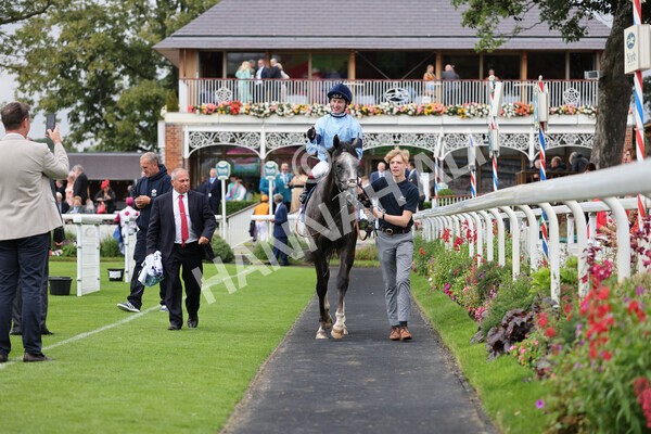 yr19082021r5-33 - Race 5 4.10pm OR8wellness ebfstallions Nursery Handicap