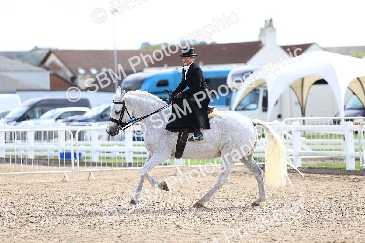 SBM_03253 - Class 22 - SSA Equitation (any age)