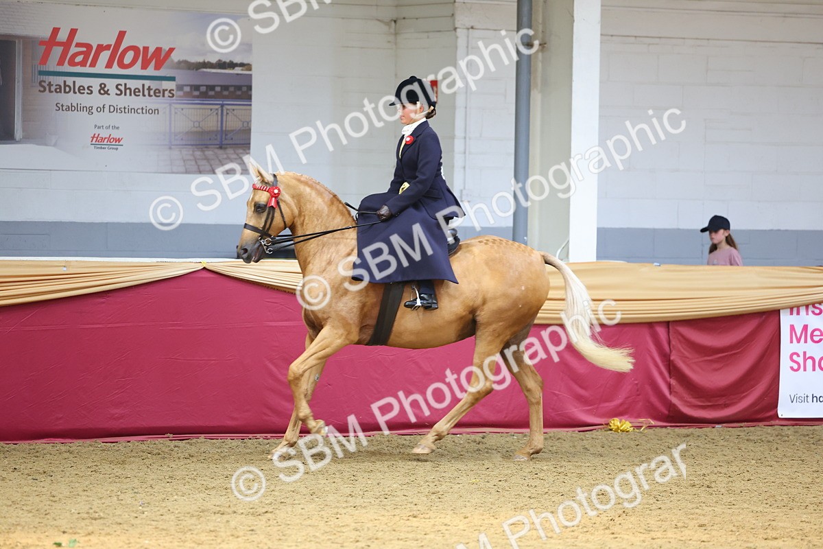 SBM_24467 - Class 906 - Supreme Final - Ridden Pre Vet