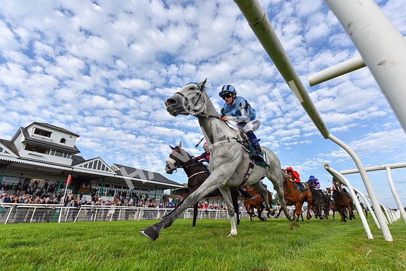 100625-Race 5-Crowns Lady-4171 - Race 5