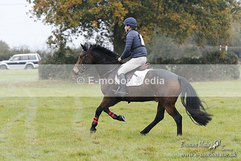 WWHT 181020 WWHT 181020 210 - WWEC Novice Restricted (0.80m) 18/10/20