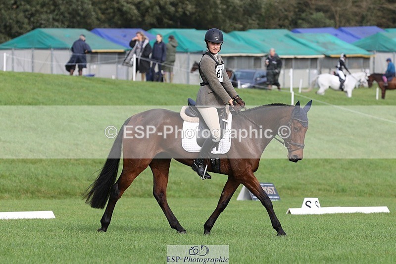 231019-110308-02531 - 609-WHAT.A.WONDER-Harry.Robinson-DR