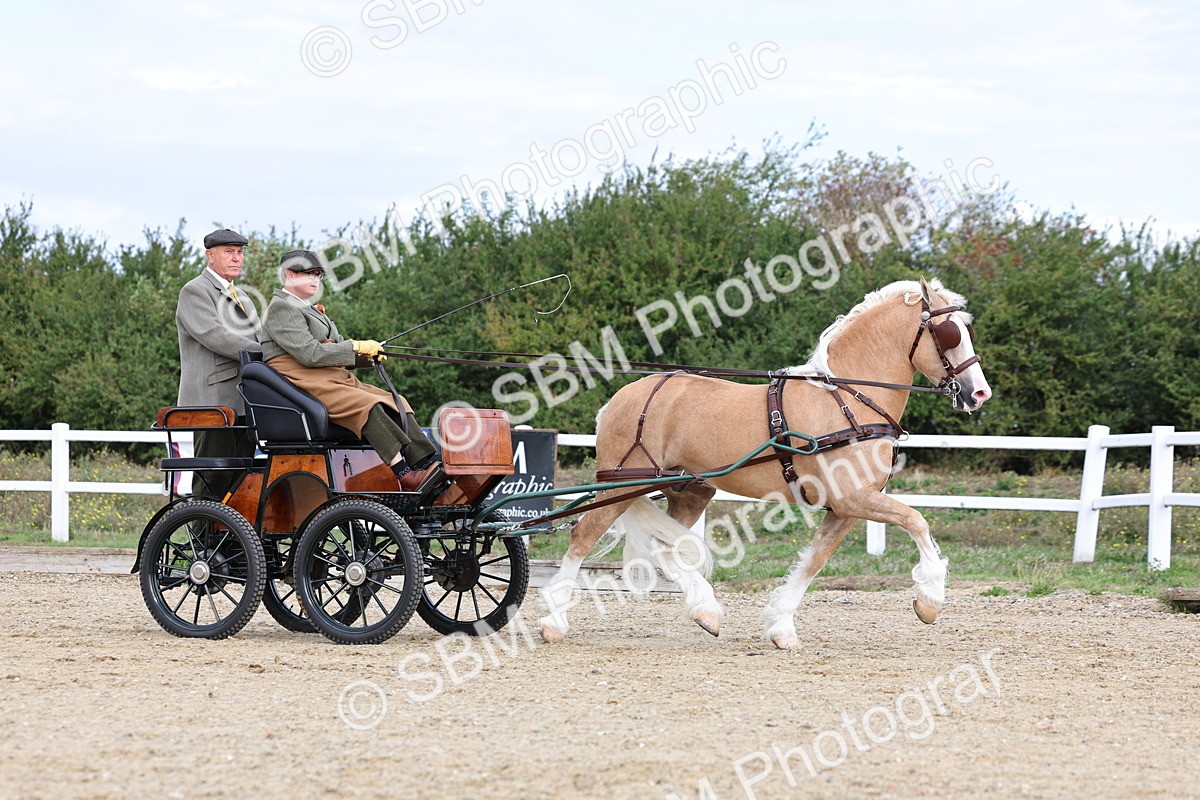 SBM_000734 - Class 6 - Exercise Vehicle 13.2 and over