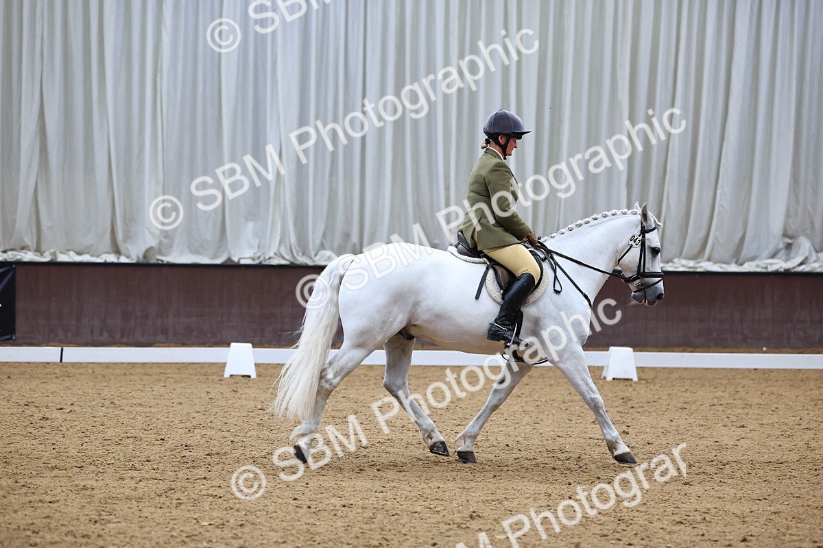 SBM_005452 - Elementary 2