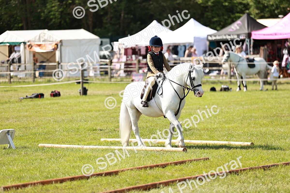 SBM_12746 - Class 106-107 - BSPS LIHS Working Sports Pony