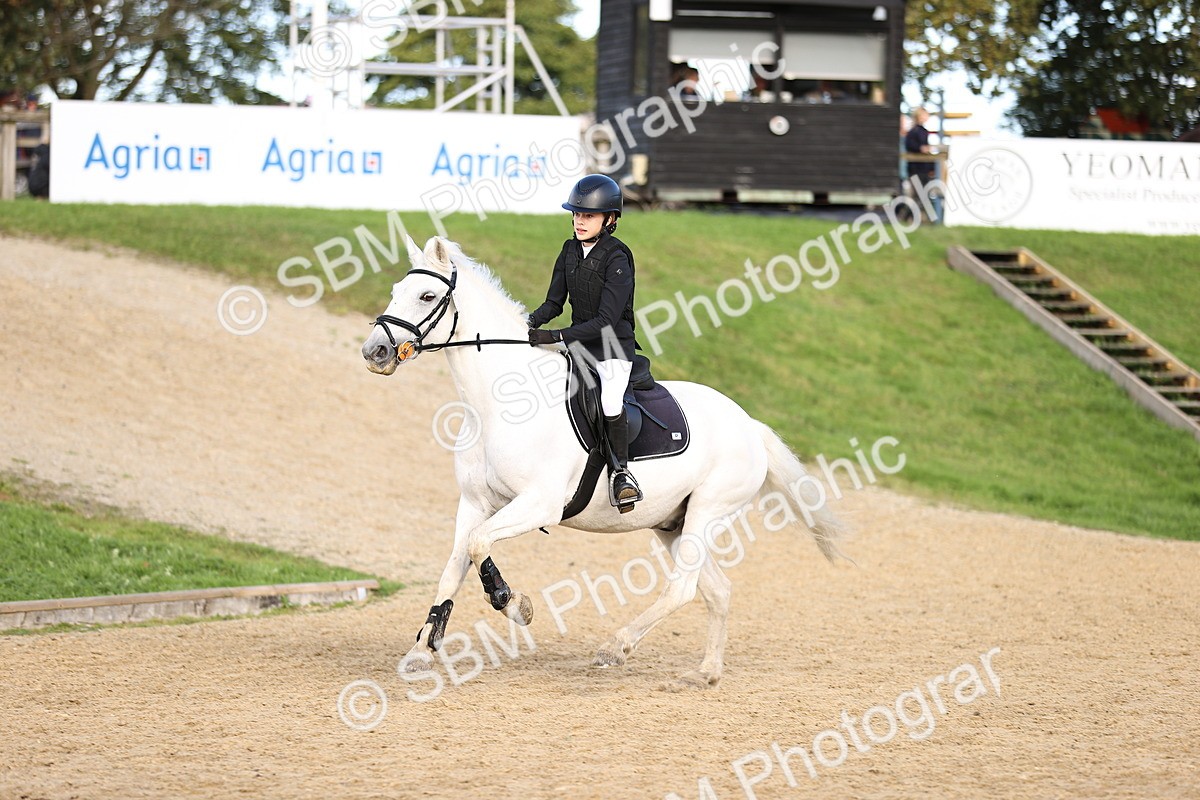 SBM_51576 - J10 - Junior Pony 75cm Championship