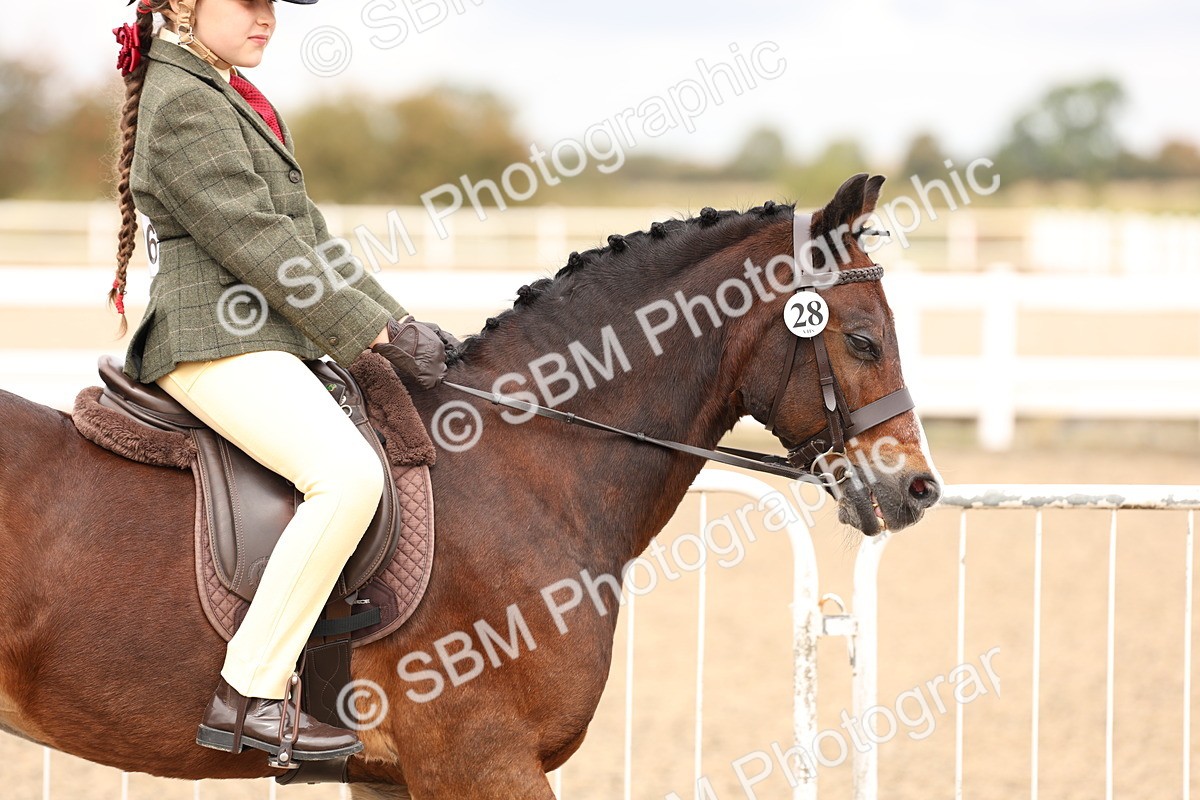 SBM_02771 - Class 53 - Ridden Competition Horse/Pony