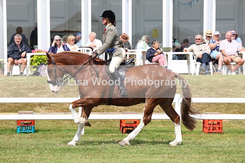 3E7A0569 - Rising Star Ridden Championship