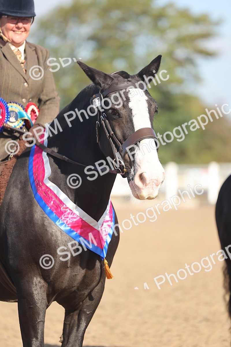 SBM_22240 - Class 802 - Ridden Groom Helpers Class