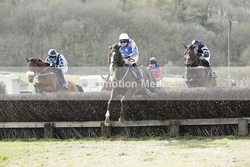 PtP 080423 221 - Dingley Races The Woodland Pytchley Hunt PtP 08/04/23