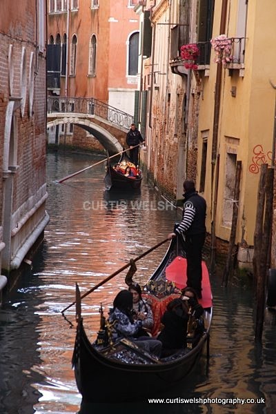 XT6I5387Venice 2011 - VENICE
