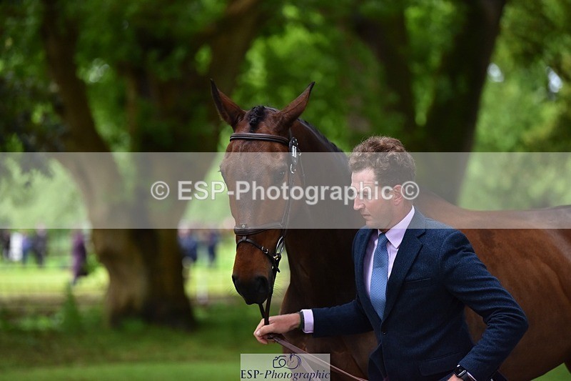 240522-165844-01297 - 272-PRIORSPARK_ROYAL_RIFF-RAFF-Jesse_Campbell