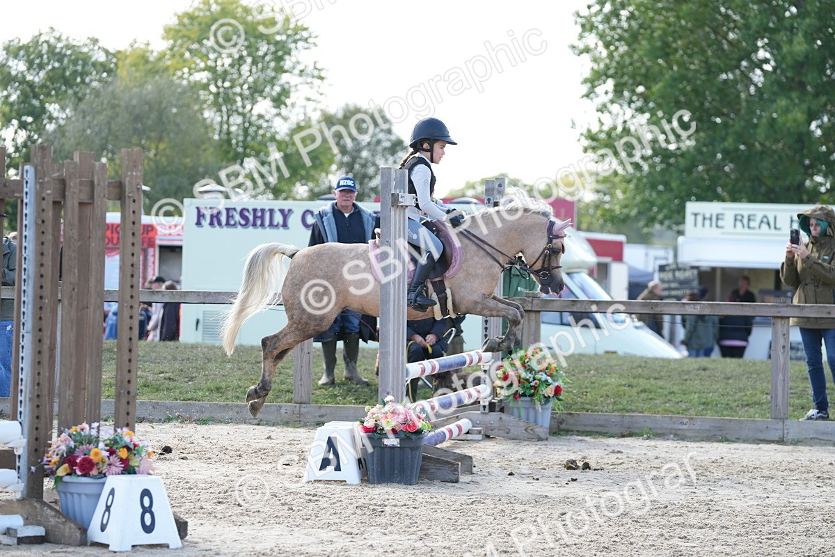 SBM_48394 - J7 - Junior Pony 60cm Championship