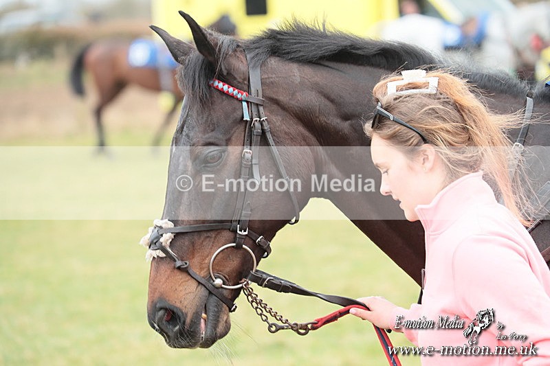 PtP 220325 20 - Cirencester Races -  Siddington 22/03/25