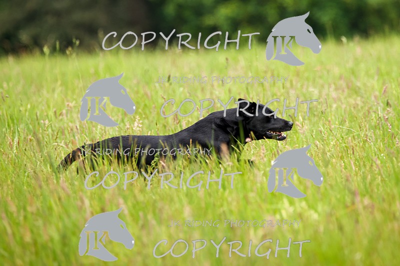 2R6A8231 - 4 Steve