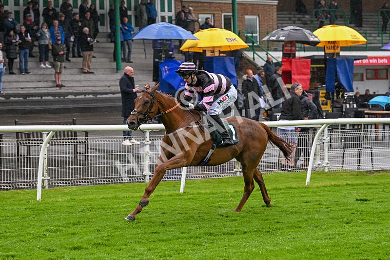 230524-Race 6-Cori Glory-1941 - Race 6