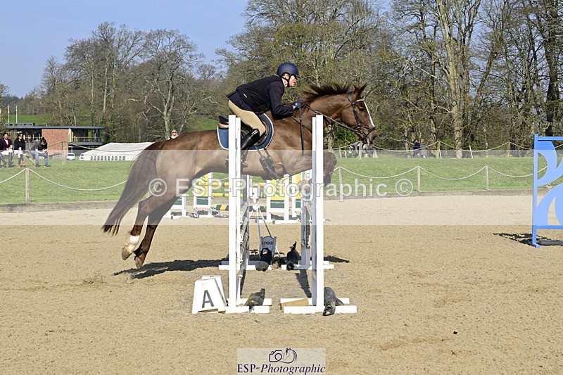 260322A-094641-01337 - 8 British Novice 90cm Open