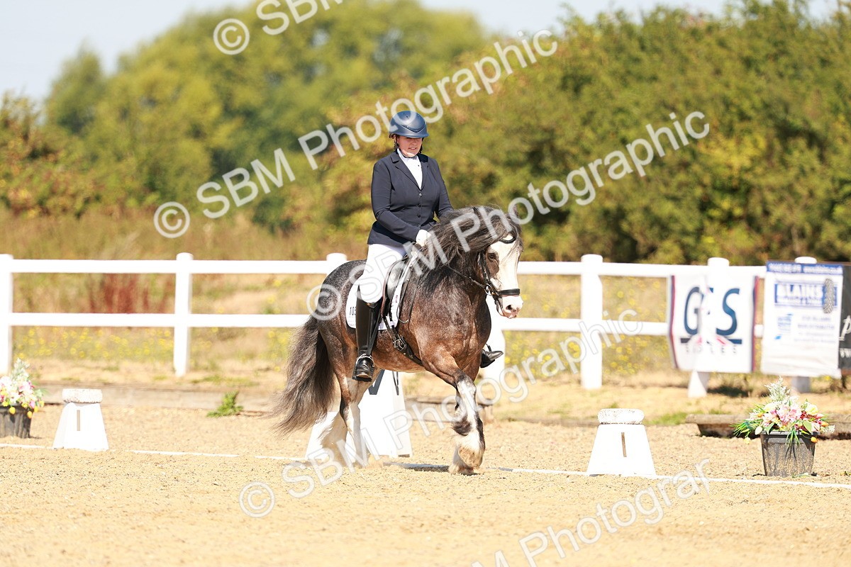 SBM_017778 - Class 9 - N5 Bronze 10.33.11.36