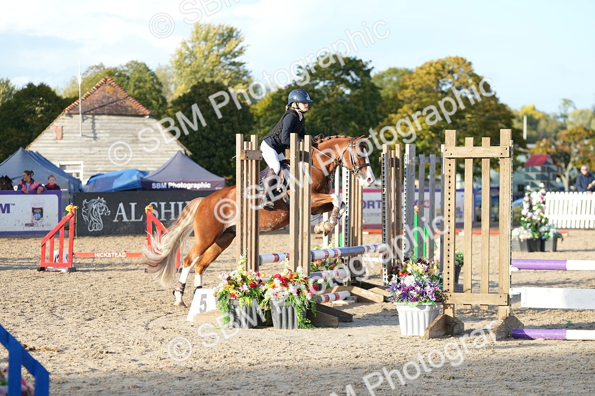 SBM_29414 - J44 - Horse & Hound Open 70cm